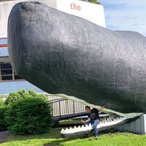 Meet your Posher, Badger